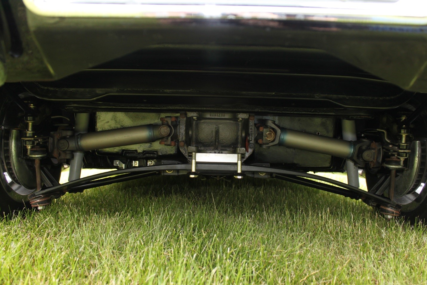 Underside rear of Beauty